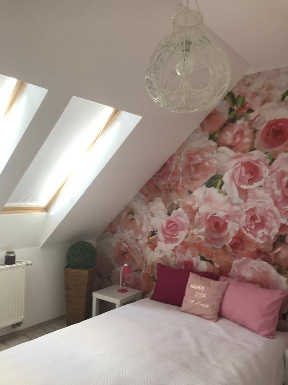 Arany Apartman سيغيد المظهر الخارجي الصورة